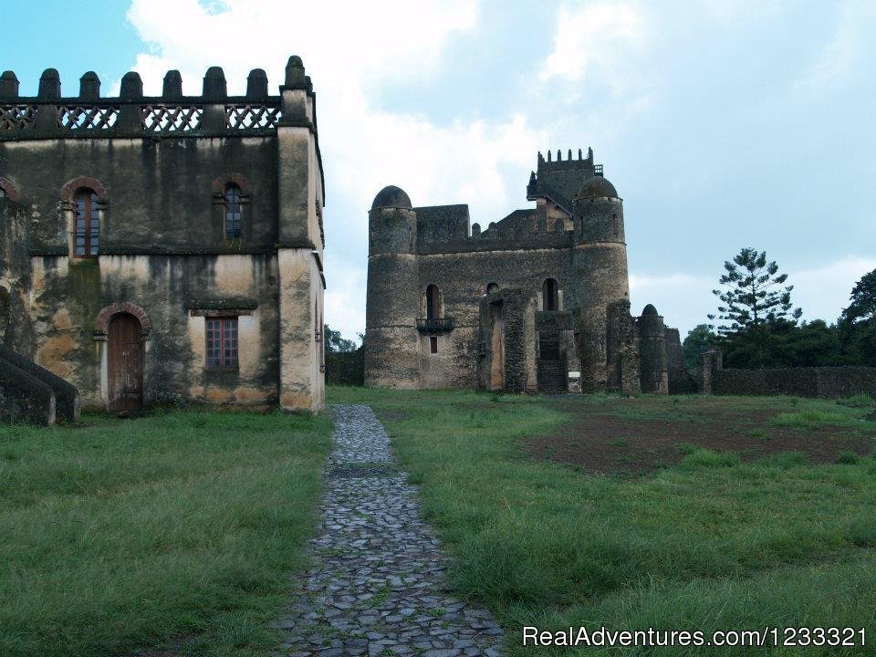 The Castle compound(Fasildes castle) | Tour to Ethiopia-Hidden Treasures Tour | Image #2/25 | 