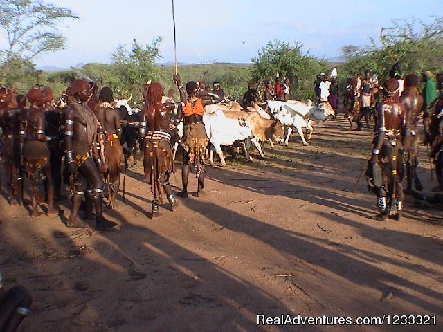Bull Jumping at Hammer | Tour to Ethiopia-Hidden Treasures Tour | Image #12/25 | 