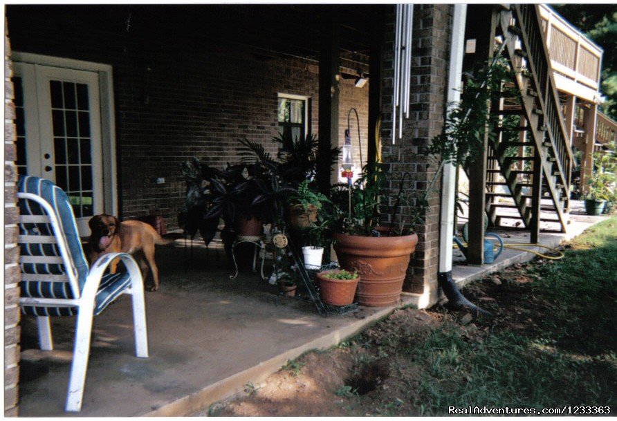 Outside sitting area | Inexpensive Lodging - Pets Allowed | Image #2/4 | 