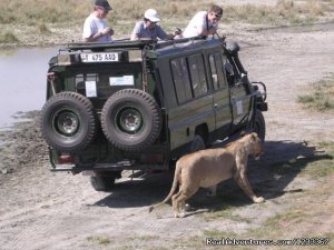 Adventure Wildlife Safari and Beach holiday | Dar es Salaam, Tanzania Wildlife & Safari Tours | Tanzania Wildlife & Safari Tours