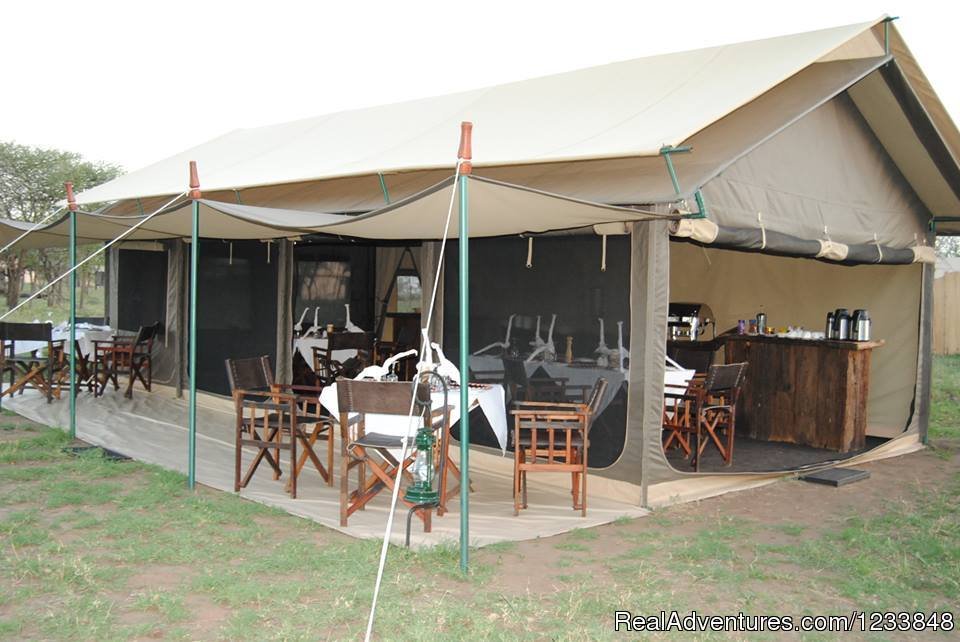 Tanzania tented camps | Masai Mara 3 Days | Nairobi, Kenya | Wildlife & Safari Tours | Image #1/1 | 