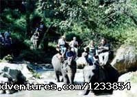 Lanna Trips, the gate to south east asia | Chiang Mai, Thailand Sight-Seeing Tours | Thailand Sight-Seeing Tours