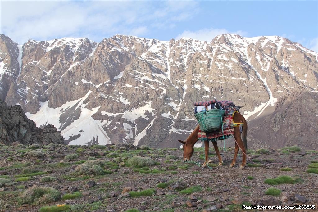 Basic camp toubkal | Trekking in Toubkal - High Atlas Mountain | Image #2/11 | 