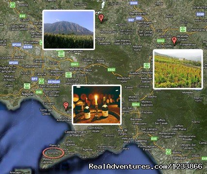Irpinia wine tour | Amalfi coast tours, Vesuvius wine tour | Image #2/2 | 