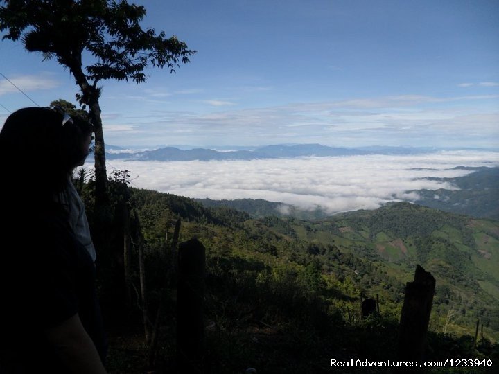 cusuco national park, san pedro sula, honduras | Top 5 NEW things to do at Cusuco National Park | San Pedro Sula, Honduras | Articles | Image #1/5 | 