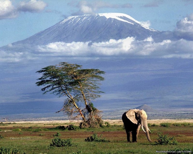Kilimanjaro Climb Marangu Route Coca Cola Route | Dar es Salaam, Tanzania | Hiking & Trekking | Image #1/1 | 