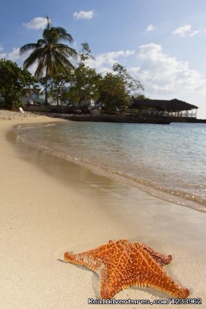 Beach Front Studio | Negril, Jamaica | Vacation Rentals