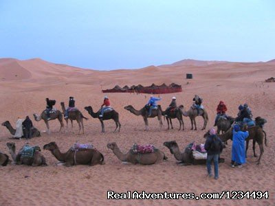 camle trekking | Trekking & walking holidays in Morocco | Image #2/2 | 