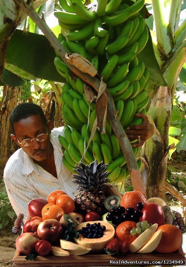 fruits from Pedra Badejo | Palm Beach Resort ..an accessible tropical holiday | Image #13/15 | 