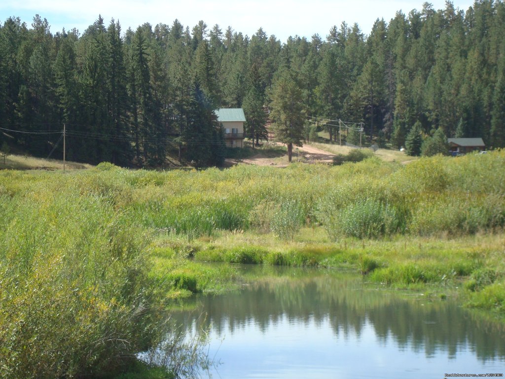 The house is located on the border with Pike National Forest | Pikes Peak Retreat In Pikes National Forest | Image #15/26 | 