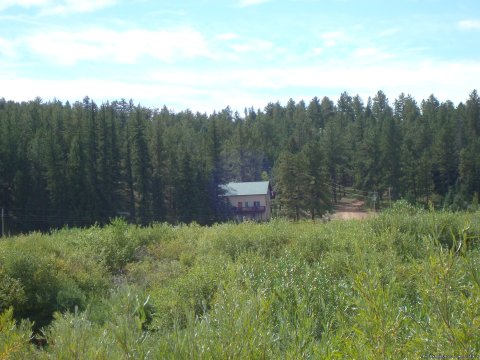 View of the house and Pike National Forest behind it