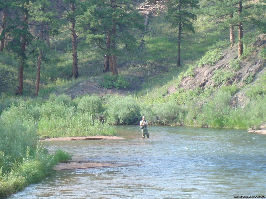 Gold Medal Fishing on Platte River | Pikes Peak Retreat In Pikes National Forest | Image #23/26 | 