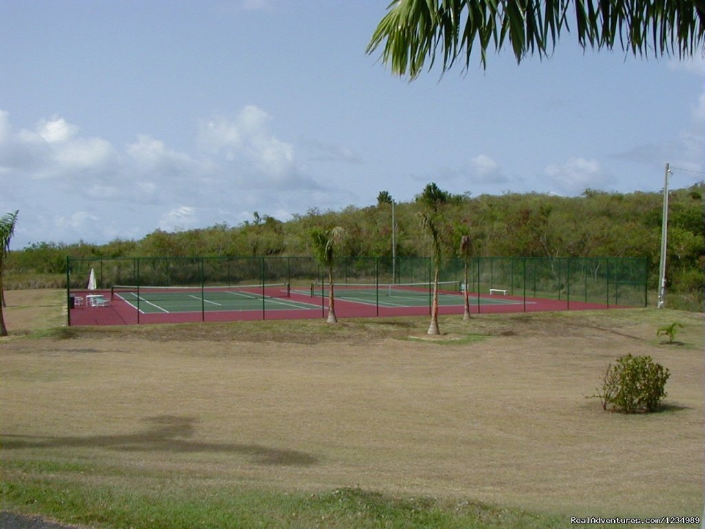 Tennis Courts | Ocean's Edge - Great Oceanfront Views, 2 Levels | Image #19/26 | 