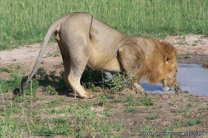 7 Days best of Kenya Safari | Image #5/13 | 
