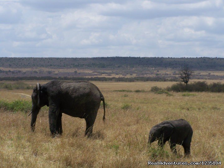 7 Days best of Kenya Safari | Image #7/13 | 