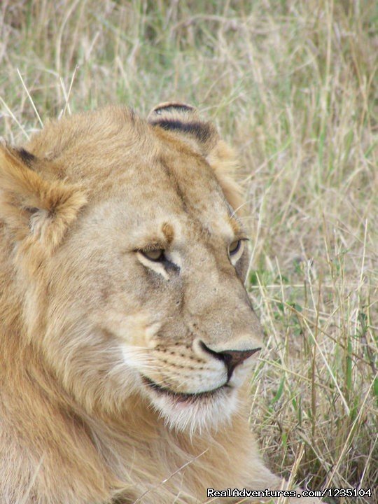 7 Days best of Kenya Safari | Image #12/13 | 