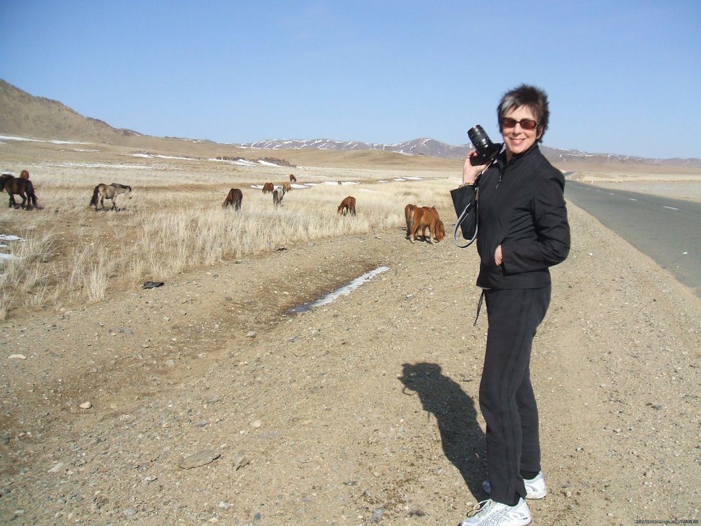 Jeep Wildlife Safaris | Gobi Expeditions Mongolia | Image #11/20 | 