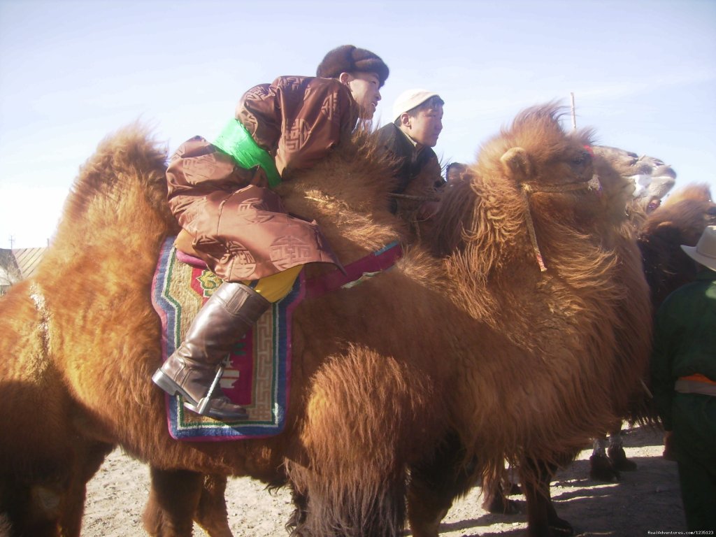 Camel Festival | Gobi Expeditions Mongolia | Image #15/20 | 