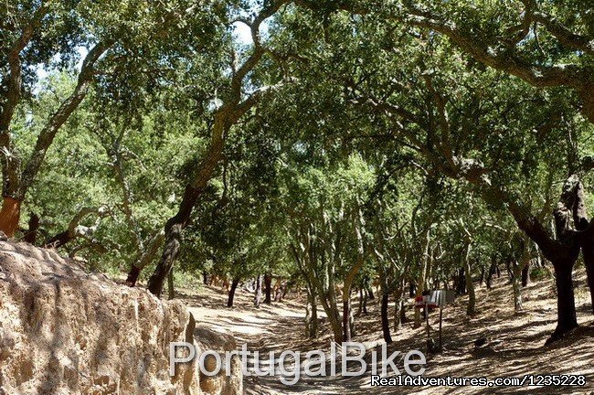 PortugalBike - The Gorgeous West Coast | Image #10/26 | 