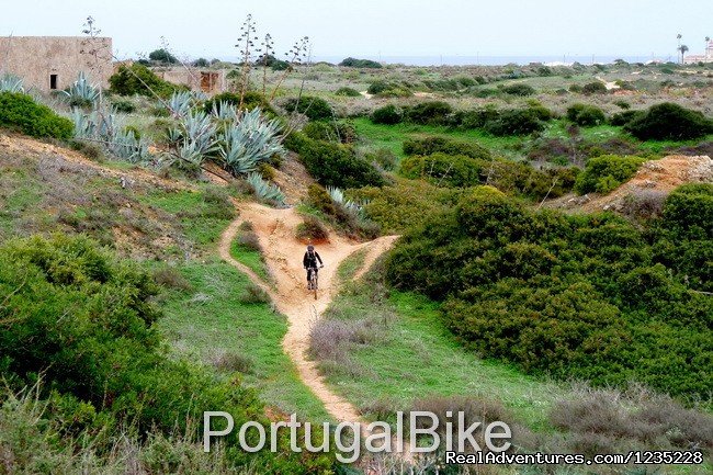 PortugalBike - The Gorgeous West Coast | Image #25/26 | 