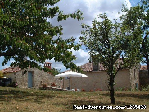 Garden and terrace | Romantic two bedroomed cottage in Vendee, France | Image #3/23 | 