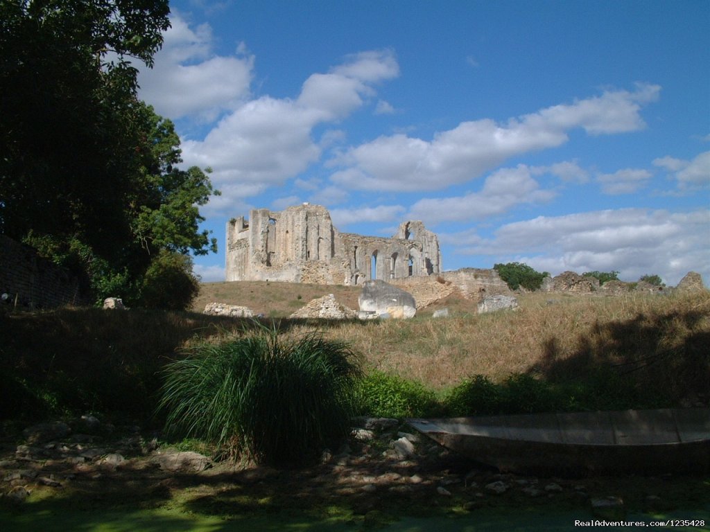 The abbey of Maillezais | Romantic two bedroomed cottage in Vendee, France | Image #21/23 | 