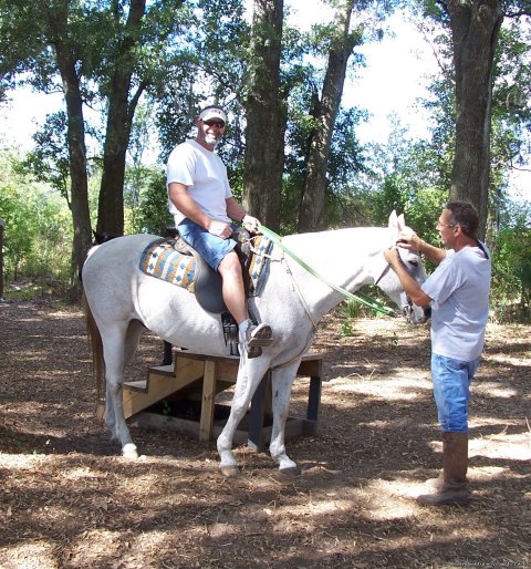 Image #10/21 | Horseback Riding and Trail Rides State Parks