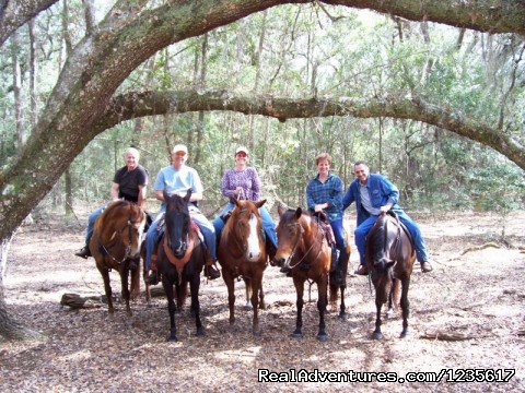 Horseback Riding and Trail Rides, Horse Park