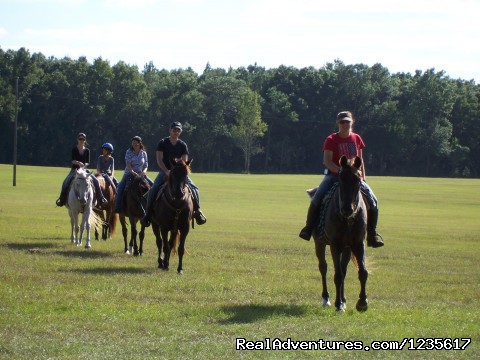 Horseback Riding and Trail Rides, Horse Park 