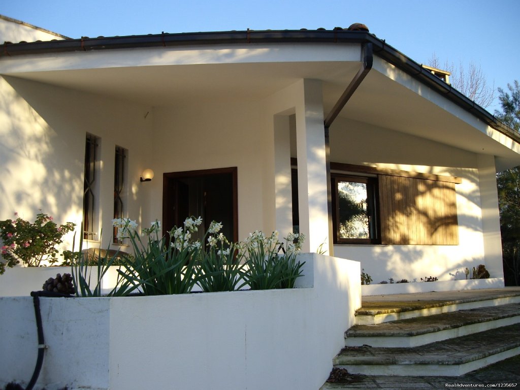 entry | Beautiful villa in Salento | Galatone, Italy | Vacation Rentals | Image #1/1 | 