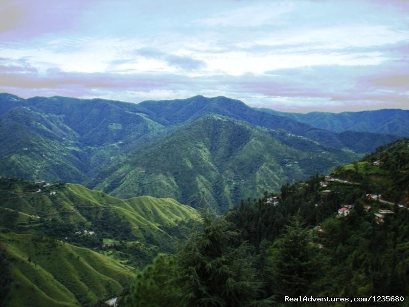 Valley View | Aapo Aap Home Stay (B&B), Shimla-India | Image #4/16 | 