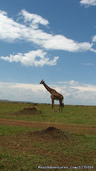 Tallest neck | Holiday  Getaways and Honeymoon Packages. | Image #8/10 | 