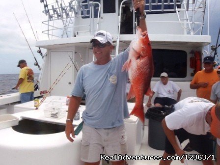 Orange beach Snapper fishing | Half Day To 3 Day Offshore Overnight Trips | Image #5/7 | 