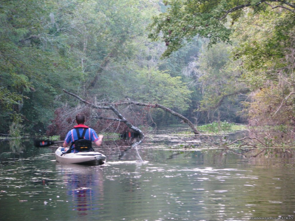 Kayak Fishing & Eco Tours in North Florida | Jacksonville, Florida  | Kayaking & Canoeing | Image #1/5 | 