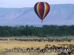 Hot air baloon safaris in kenya-(masai mara)