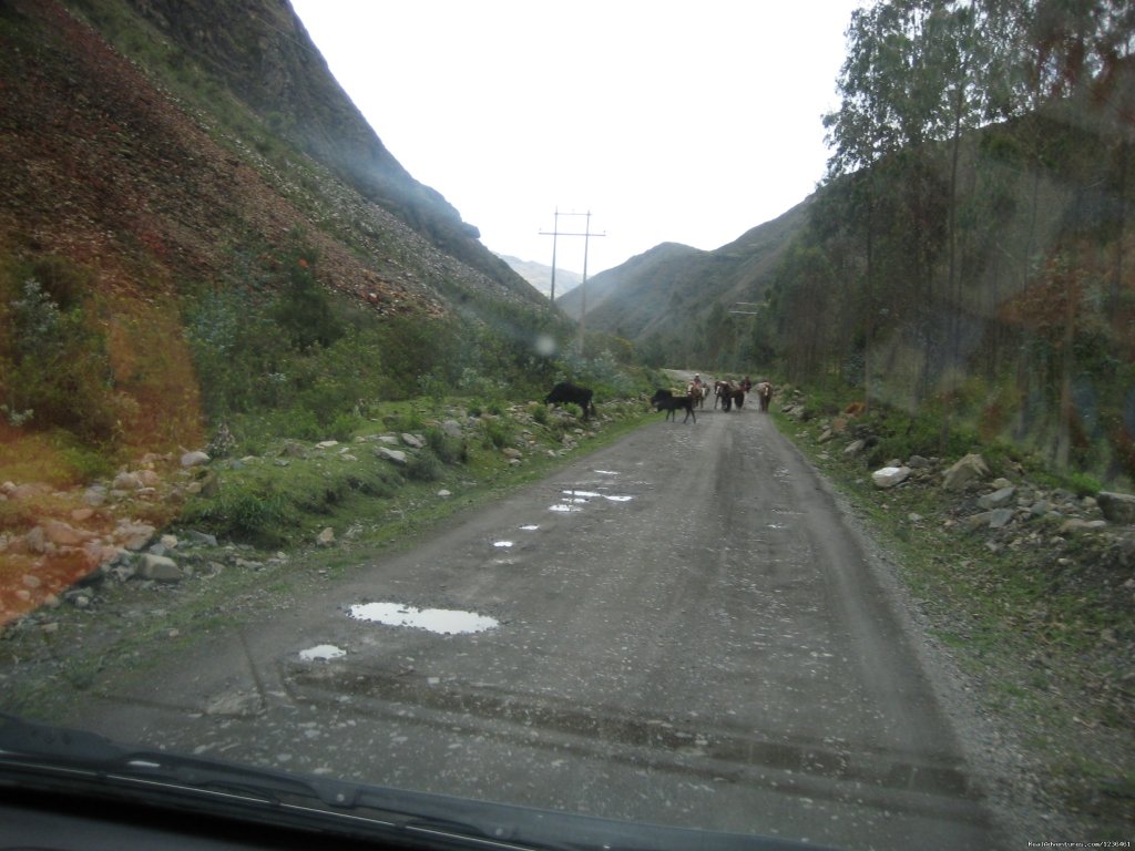 Lares Valley | Hiking Inca Trail to Machupicchu | Image #6/12 | 