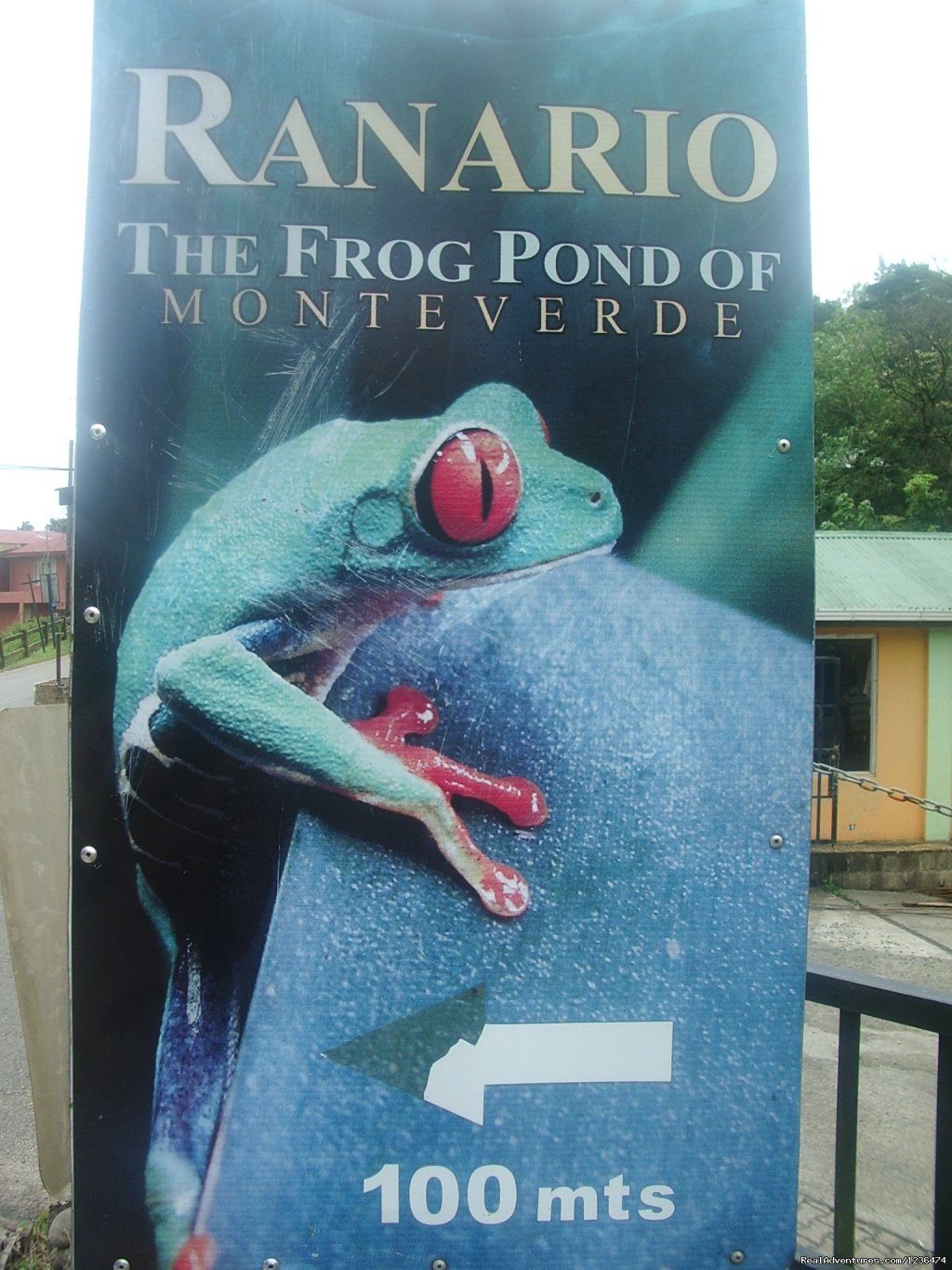 Monteverde | Costa Rica & Panama Tour  with Marvelus Travel | Image #3/16 | 