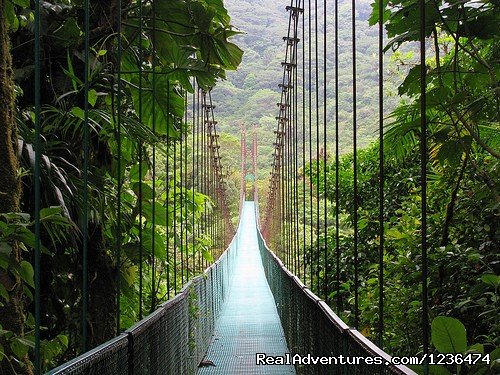 Monteverde | Costa Rica & Panama Tour  with Marvelus Travel | Image #2/16 | 