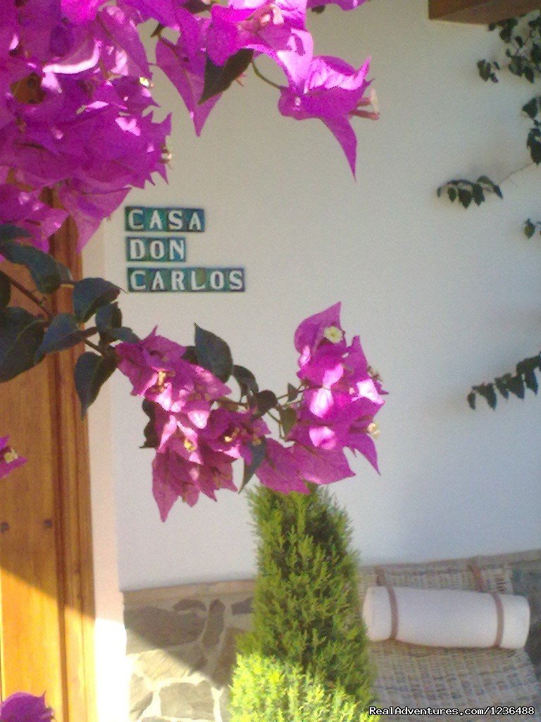 Welcome to Bed & Breakfast Casa Don Carlos | Bed & Breakfast | Guest House Casa Don Carlos | Image #2/9 | 