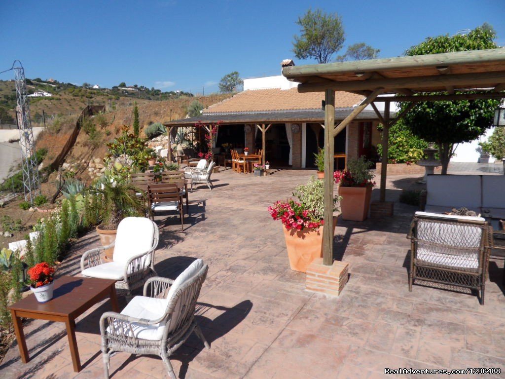 the terrace at B&B Casa Don Carlos, Malaga | Bed & Breakfast | Guest House Casa Don Carlos | Image #6/9 | 