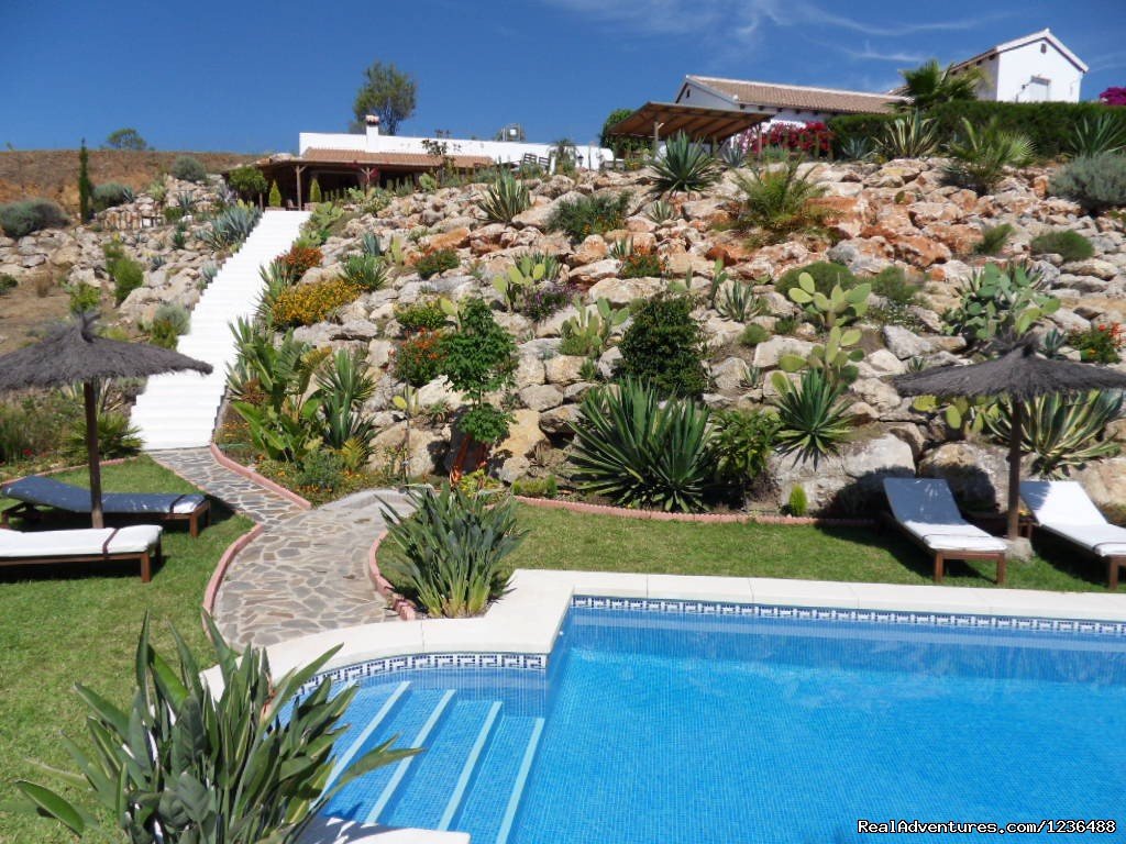 the pool at B&B Casa Don Carlos, Malaga | Bed & Breakfast | Guest House Casa Don Carlos | Image #8/9 | 