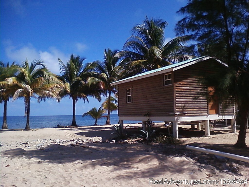 Beach front Cabana in Hopkins | Hopkins Getaway Inland EcoTours | Image #2/4 | 