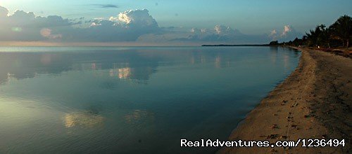 Our beach in Hopkins | Hopkins Getaway Inland EcoTours | Image #4/4 | 