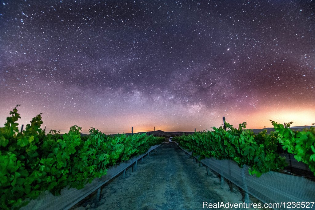 Night sky in the Negev!  | Boker Valley Farm | Image #17/26 | 