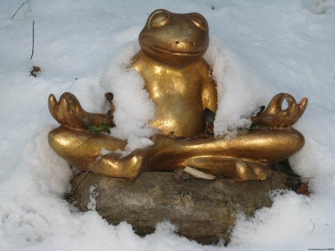 Om Frog | Image #7/25 | Renew & Relax at Fire Om Earth Retreat Center