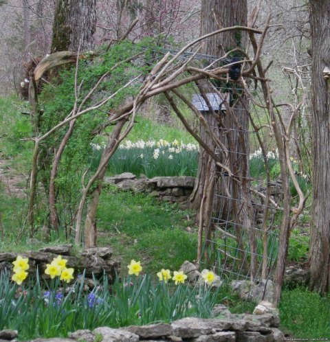 Daffodil Arbor | Image #13/25 | Renew & Relax at Fire Om Earth Retreat Center