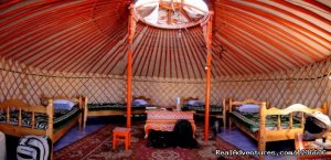 Bl guest house | Khatgal, Mongolia Bed & Breakfasts | Hovsgol Nuur, Mongolia
