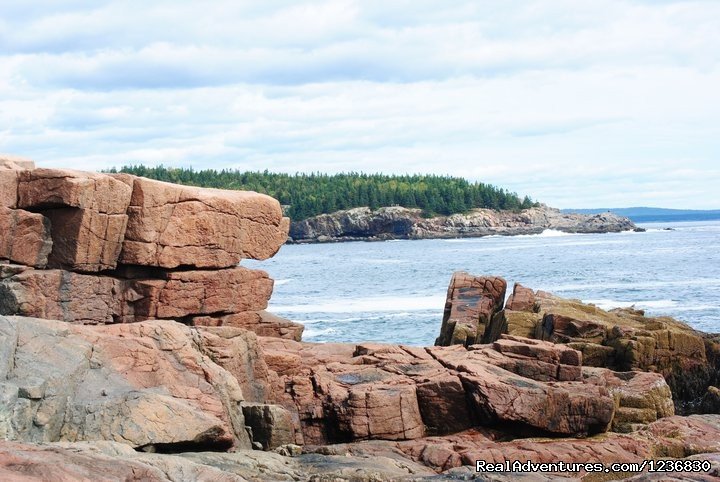 Ocean Drive  | Acadia & Island Tours- Oli's Trolley | Image #5/11 | 