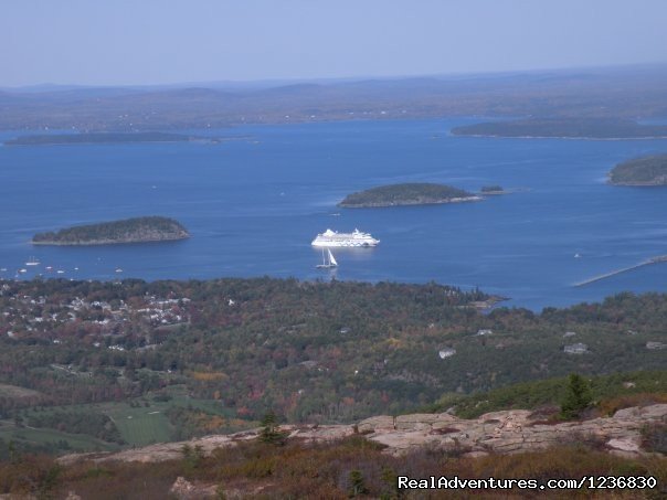 Cruise Ship | Acadia & Island Tours- Oli's Trolley | Image #7/11 | 
