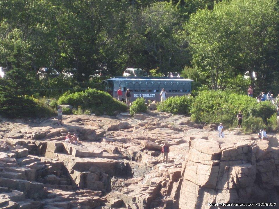 Oli's Trolley | Acadia & Island Tours- Oli's Trolley | Image #10/11 | 